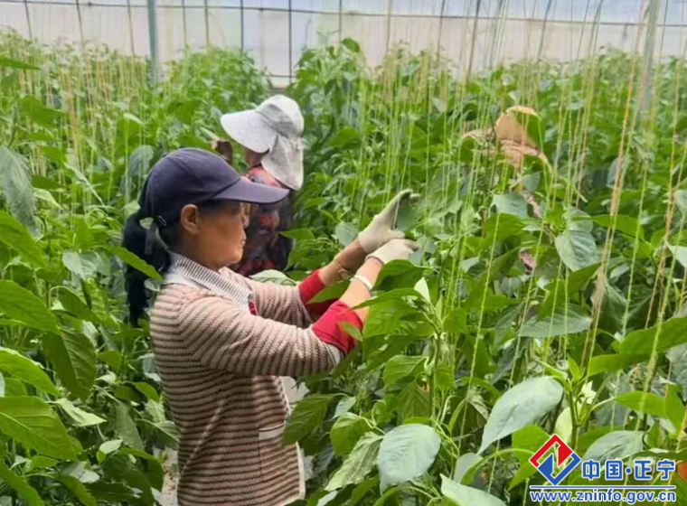 21eb69503c9d4b0cab75a6845ba509c0.png 21eb69503c9d4b0cab75a6845ba509c0.png