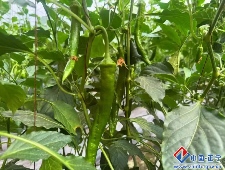 48ea02127eca48dfb2862f50df7499eb.png 48ea02127eca48dfb2862f50df7499eb.png