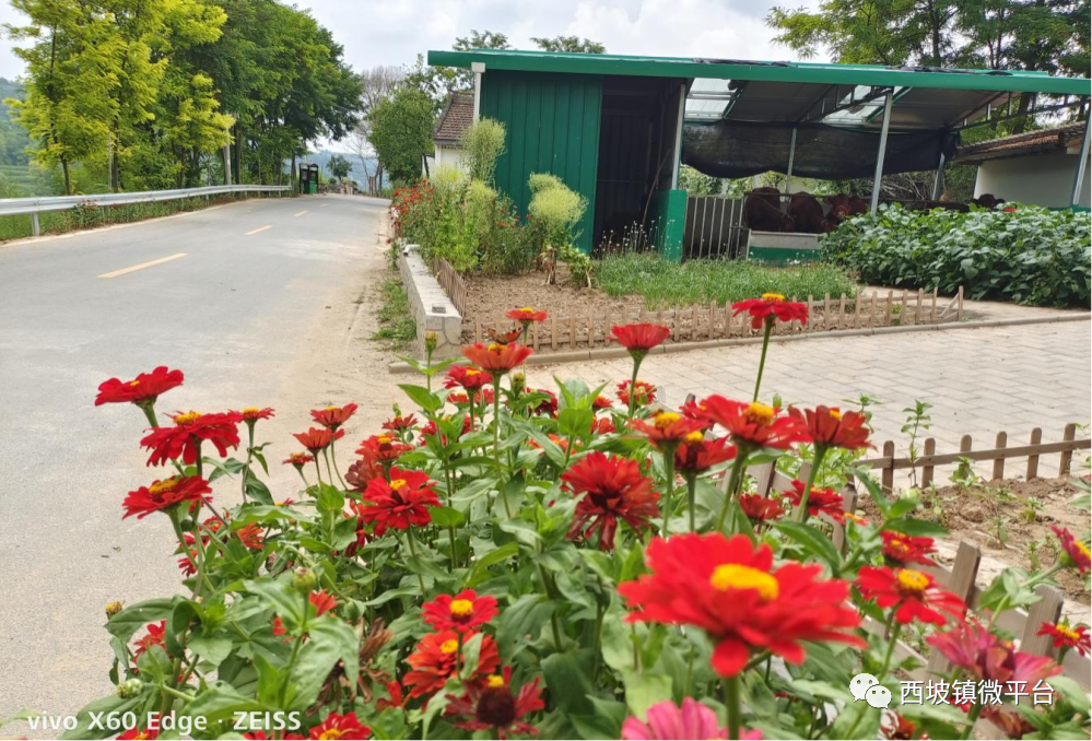 a8f950d8f46646fbb08506ad037da922.png a8f950d8f46646fbb08506ad037da922.png