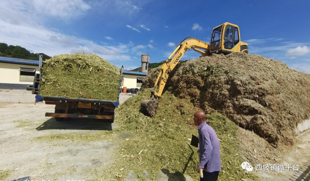 b2b1bc30233b46998cb97a7d8924f626.png b2b1bc30233b46998cb97a7d8924f626.png