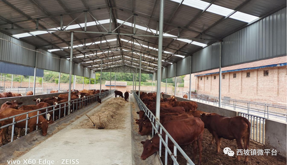 c57ec2de5f3347eeb9d37f508024e275.png c57ec2de5f3347eeb9d37f508024e275.png