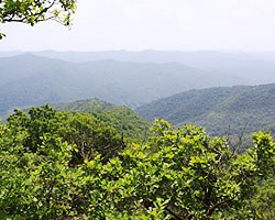 文化旅游