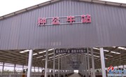 种公牛站