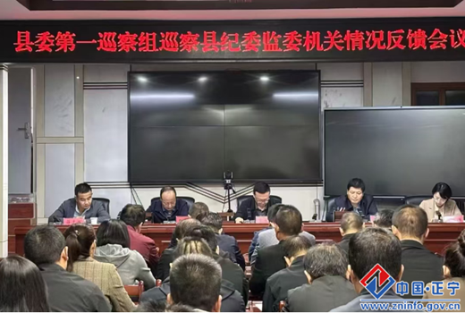 十六届正宁县委第七轮巡察完成反馈