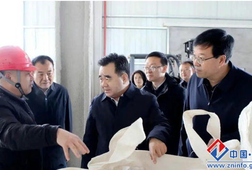 黄泽元在正宁县调研时强调 从严从实抓好突出问题整改 有力有效巩固脱贫攻坚成果