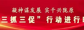 “三抓三促”行动进行时