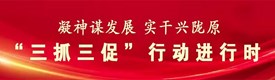 “三抓三促”行动进行时