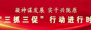 “三抓三促”行动进行时