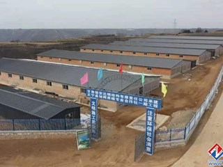 旭辉养殖专业合作社