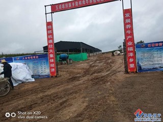 正宁县鑫鼎盛千头肉牛养殖场